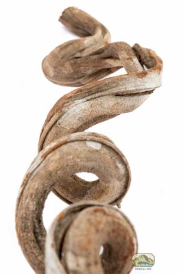 newcal Liana Vine (Rosca) thick