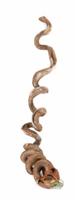 newcal liana vine thick
