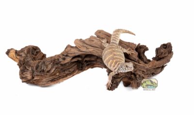 mopani wood medium