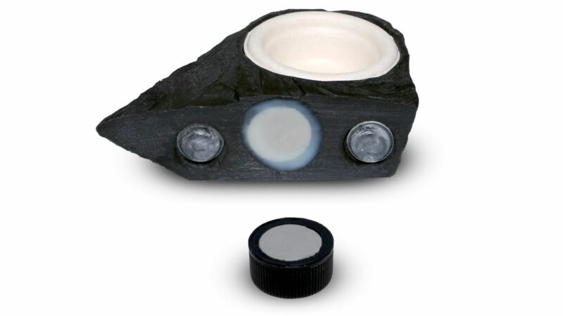 Pangea Mini Magnetic Gecko Feeder Ledge Strong Magnets