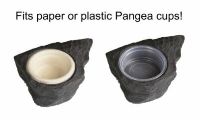 Pangea Mini Magnetic Gecko Feeder Ledge fits paper or plastic cups