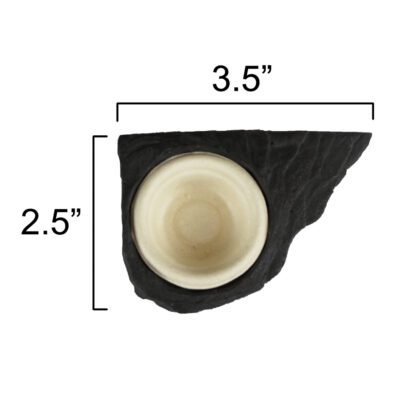 Pangea Mini Magnetic Gecko Feeding Ledge size