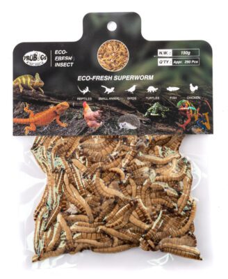 ProBugs Eco Fresh Superworms 150gm approx 290 worms