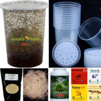 Build Your Own Fruit Fly Culturing Kit