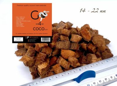 Go 4 Coco 14x22mm size