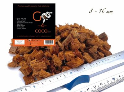 Go 4 Coco 8x16mm size