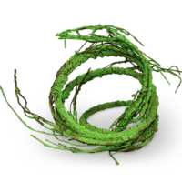 Pangea Ultimate Vine Green