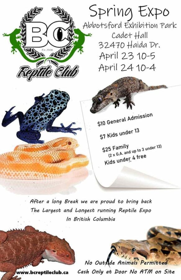 Abbotsford BC Reptile Expo April 23 2022