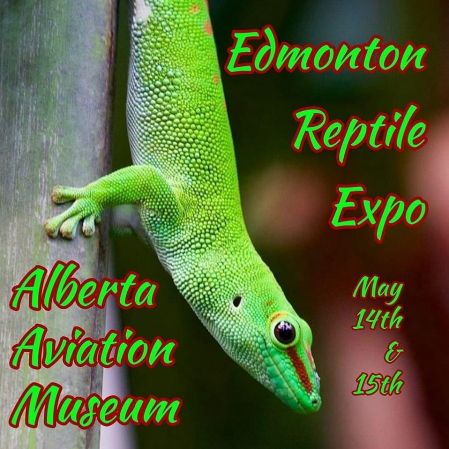 Edmonton Reptile Expo May 14 2022