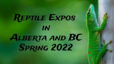 All Reptile Expos in Alberta and BC Spring 2022