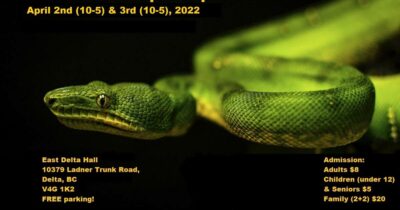 Vancouver Reptile Expo April 2 2022 1