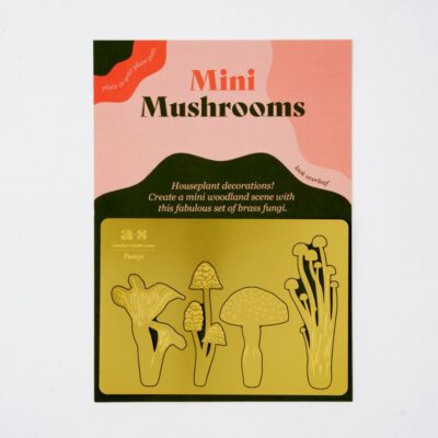 Brass Mini Mushrooms in Package