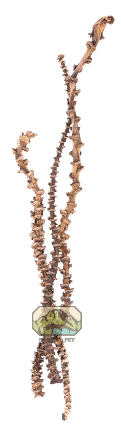 Musa Stick