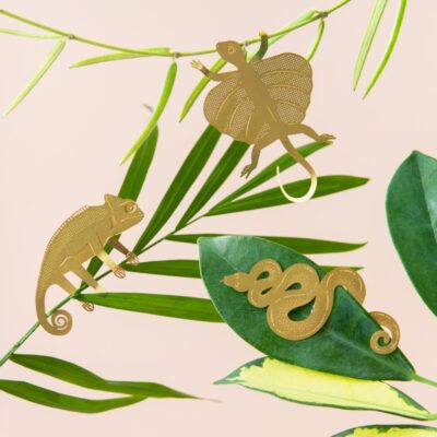 Plant Animal Chameleon Flying Lizard Snake Reptile set