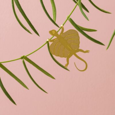 Plant Animals Flying Lizard