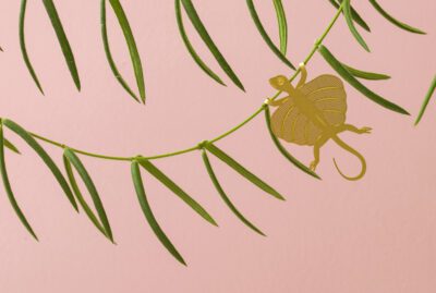 Plant Animal Flying Lizard