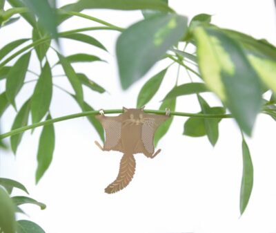 Plant Animal Flying Squirrel