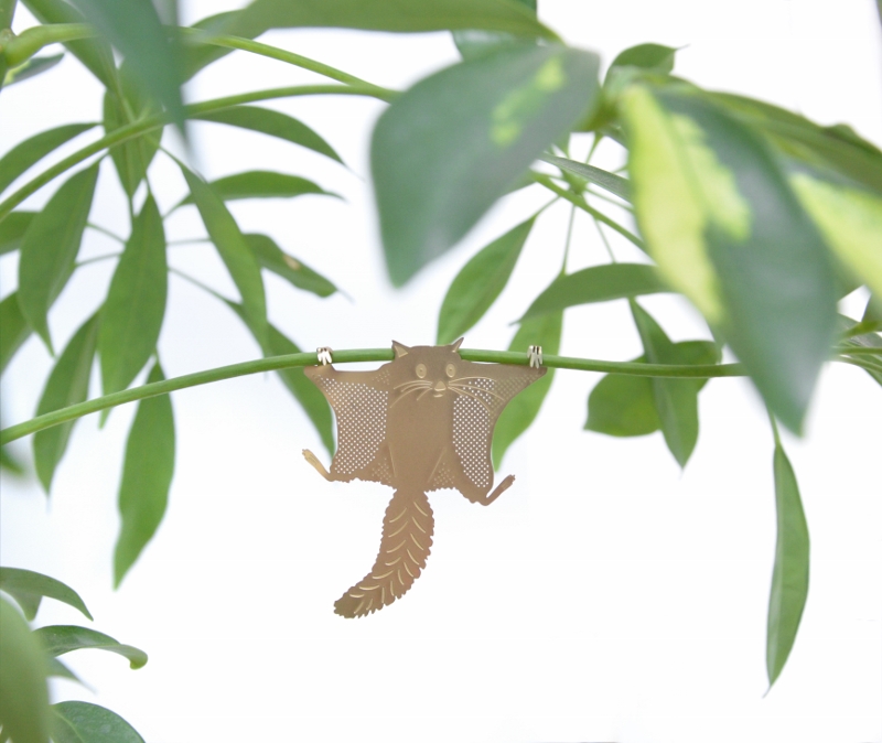 Plant Animal Flying Squirrel