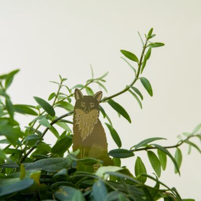 Plant Animal Fox