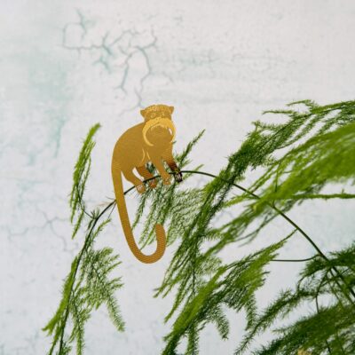 Plant Animal Tamarin