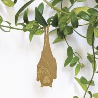 Plant Animal fruit bat