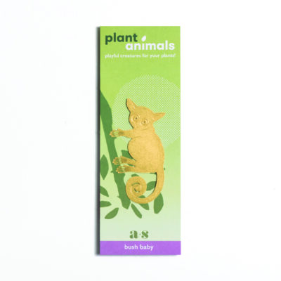 Plant Animals Bush Baby Packaging