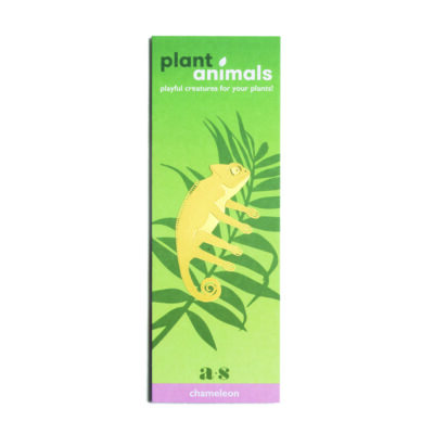Plant Animals Chameleon Packaging