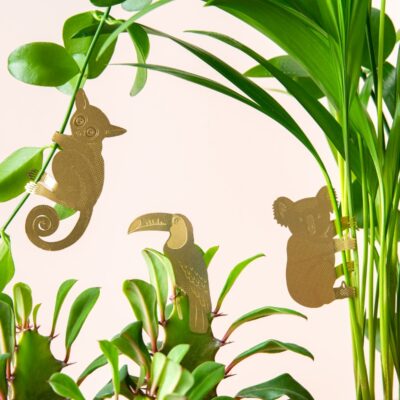 Plant Animals Decorations Bush Baby Toucan Koala