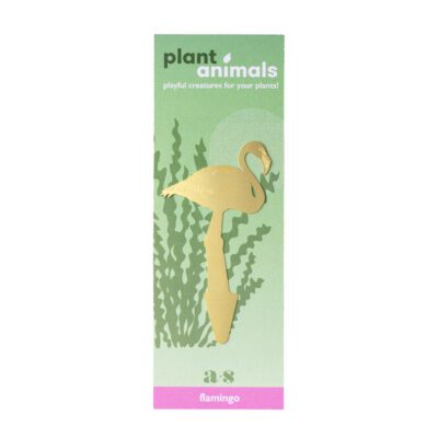 Plant Animals Flamingo Packaging