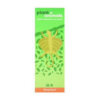 Plant Animals Flying Lizard Packaging