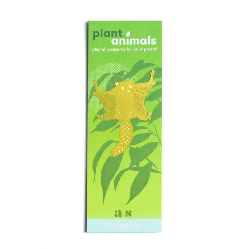 Plant Animals Flying Squirrel Packaging
