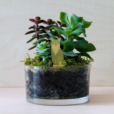 Plant Animals Fox