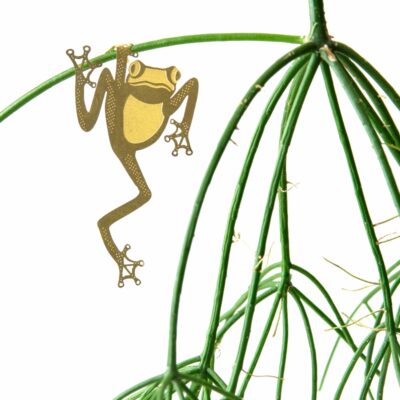 Plant Animals Frog