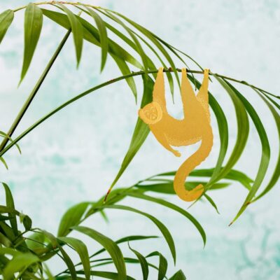 Plant Animals Lemur