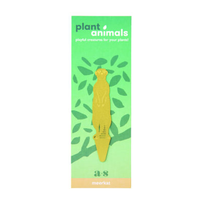 Plant Animals Meerkat Packaging