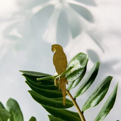 Plant Animals Parrot