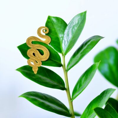 Plant Animals Snake'
