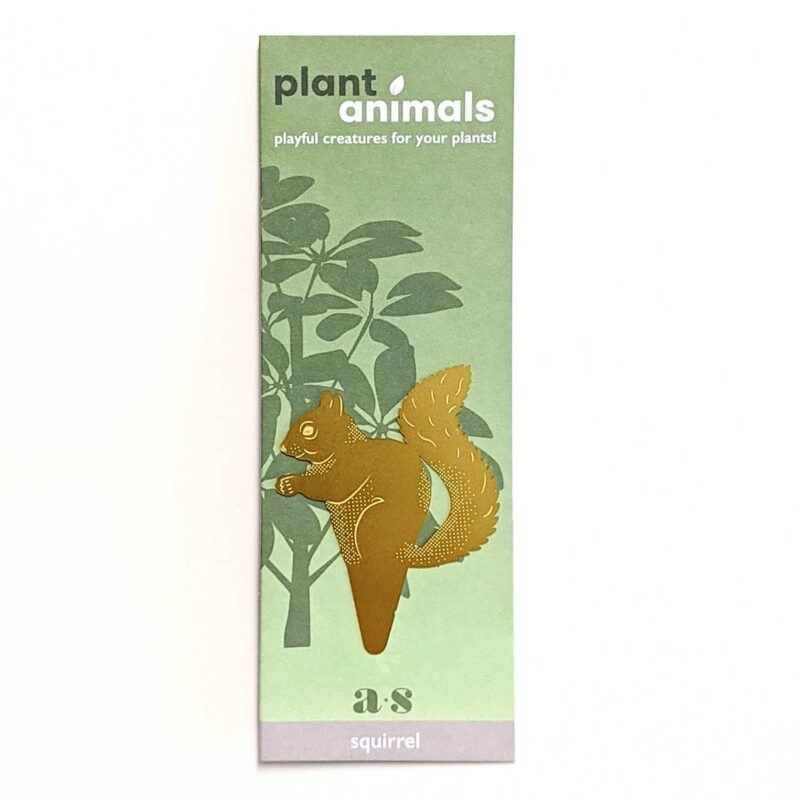 Plant Animals - Squirrel - Image 4