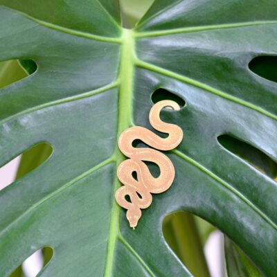 Plant Animals Vine Snake
