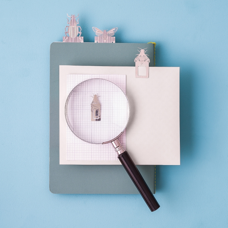 Stainless Steel Insect Bookmarks set