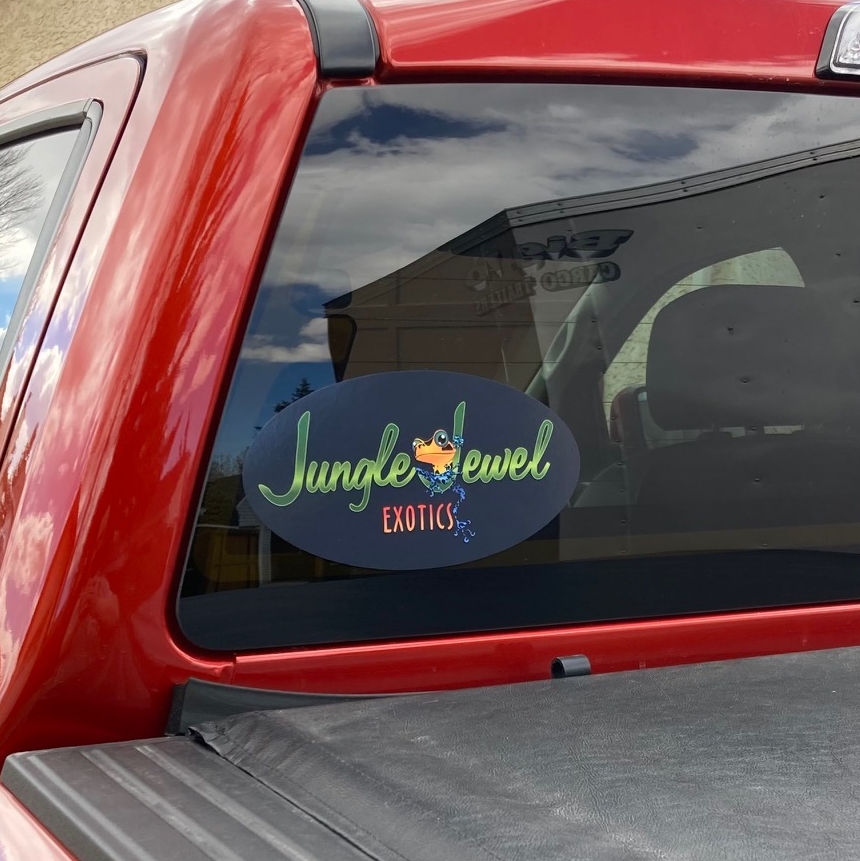 JJE Window Bumper Sticker