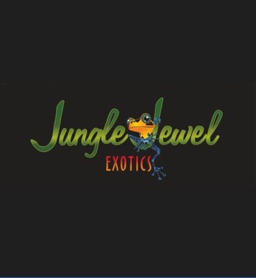 Jungle Jewel Exotics