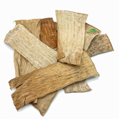 Reptiscape Banana Leaves 1