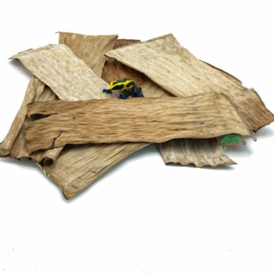 Reptiscape Banana Leaves mix pack with Dart Frog 1