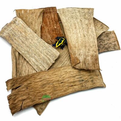 Reptiscape Banana Leaves with Dart Frog 1