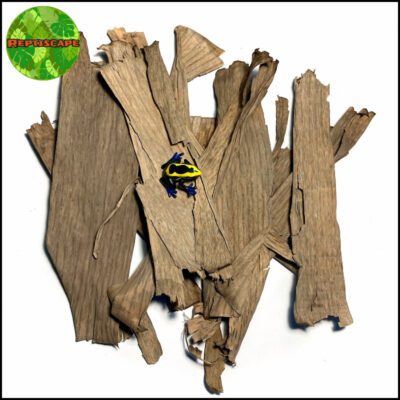 Reptiscape Banana Leaves with Dart Frog