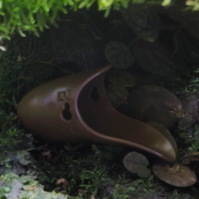 Tad-Pool - Brown cup in Terrarium