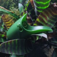 Tad-Pool Dark Green cup set in Terrarium