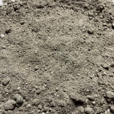 Isopod Essentials - Calcium and Minerals for Isopods