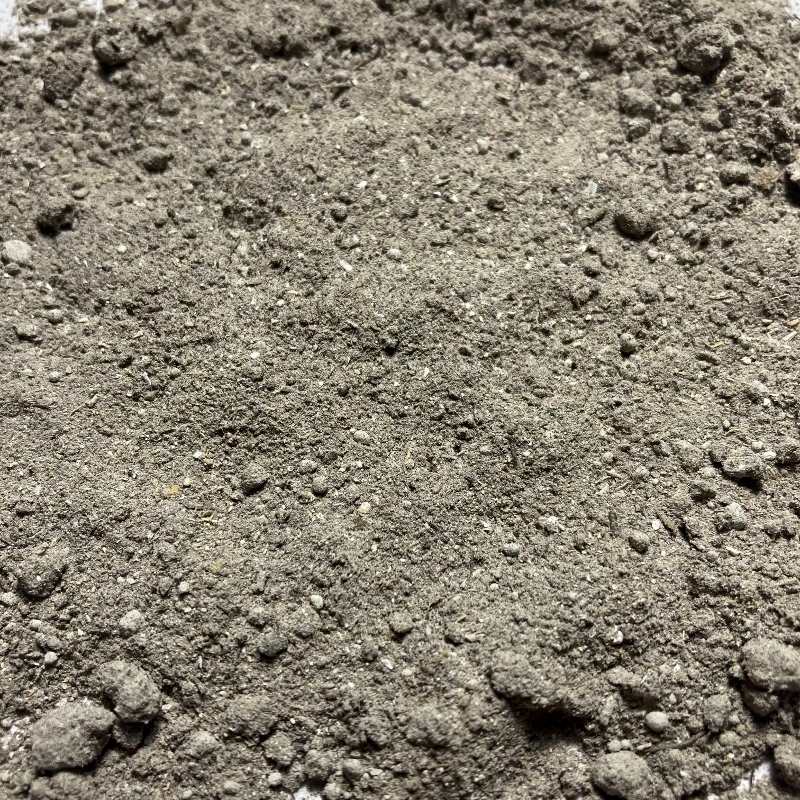 Isopod Essentials - Calcium and Minerals for Isopods